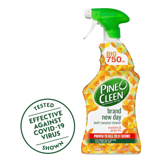 Pine O Cleen Brand New Day Multipurpose Cleaner Trigger Spray 750ml Mandarin & Ginger Lily